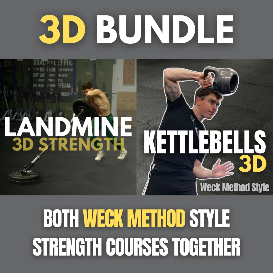 LANDMINES 3D
