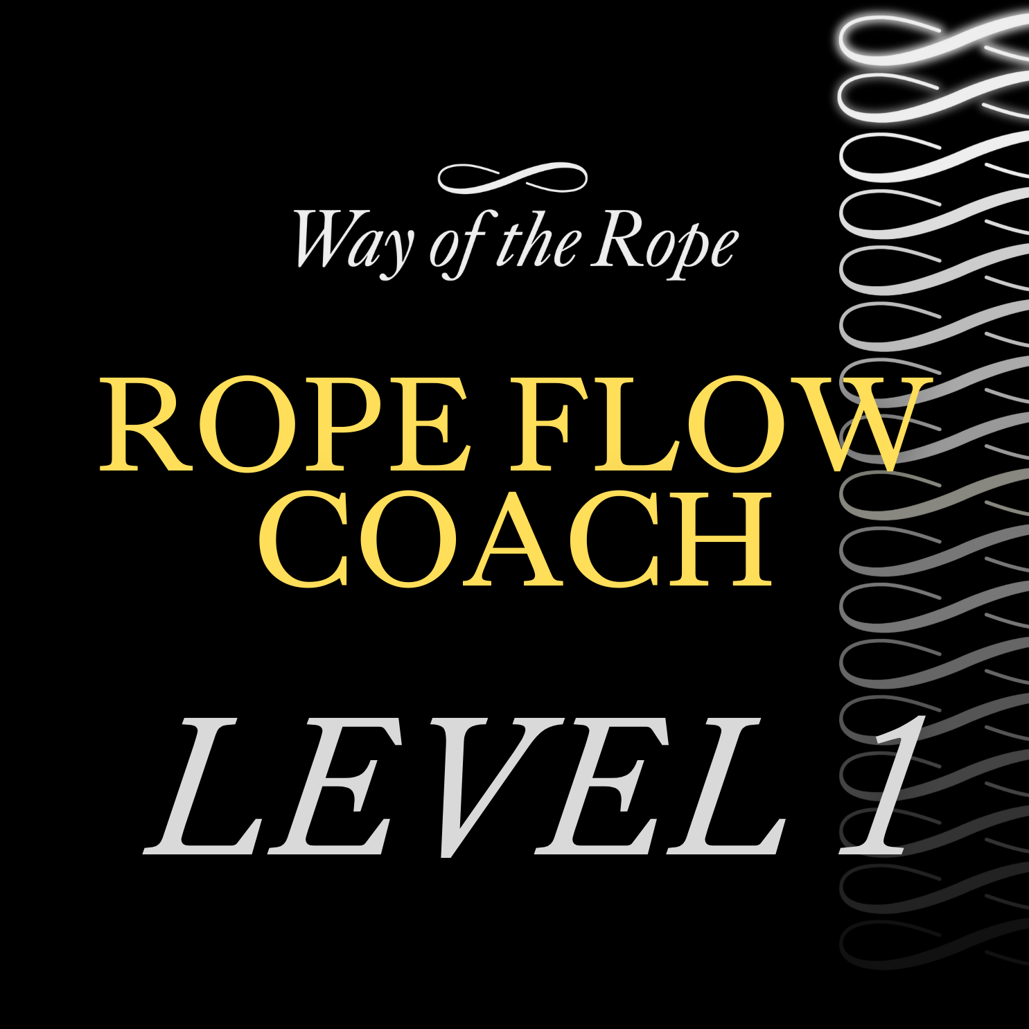 ROPE FLOW COACH - Level 1 | London